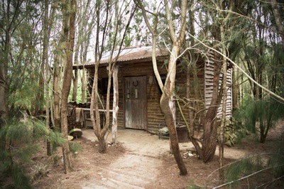 Old Bush Hut